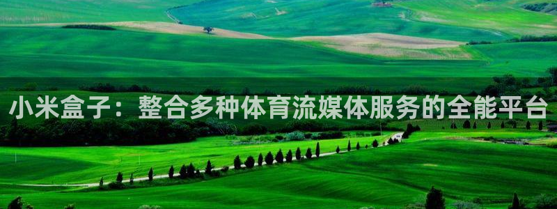 小米盒子：整合多种体育流媒体服务的全能平台