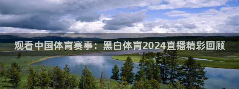 观看中国体育赛事：黑白体育2024直播精彩回顾