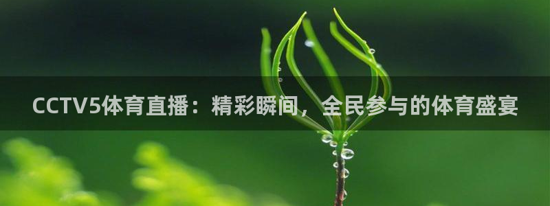 CCTV5体育直播：精彩瞬间，全民参与的体育盛宴