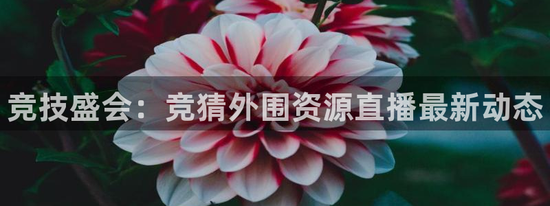 竞技盛会：竞猜外围资源直播最新动态