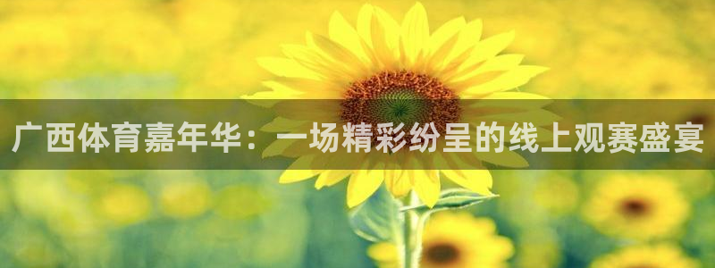 广西体育嘉年华：一场精彩纷呈的线上观赛盛宴