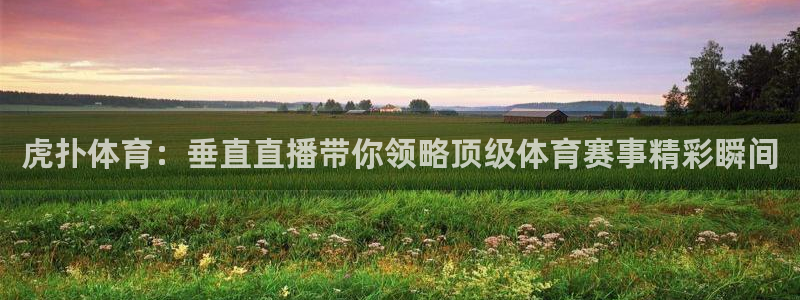 虎扑体育：垂直直播带你领略顶级体育赛事精彩瞬间