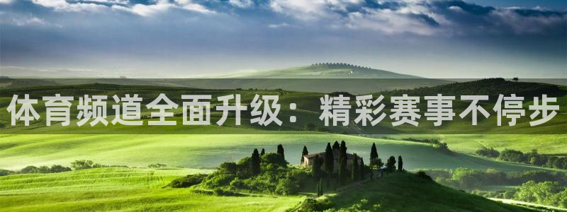 体育频道全面升级：精彩赛事不停步