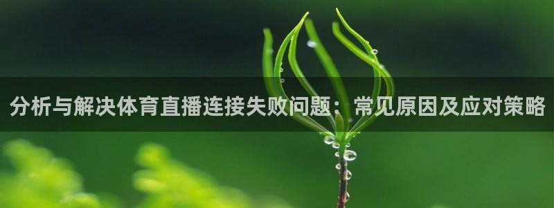 分析与解决体育直播连接失败问题：常见原因及应对策略
