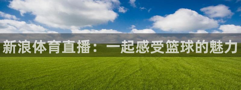 新浪体育直播：一起感受篮球的魅力