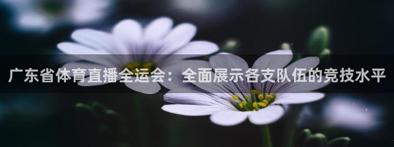 广东省体育直播全运会：全面展示各支队伍的竞技水平