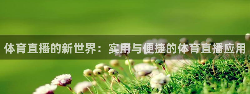 体育直播的新世界：实用与便捷的体育直播应用