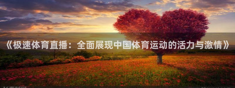 《极速体育直播：全面展现中国体育运动的活力与激情》
