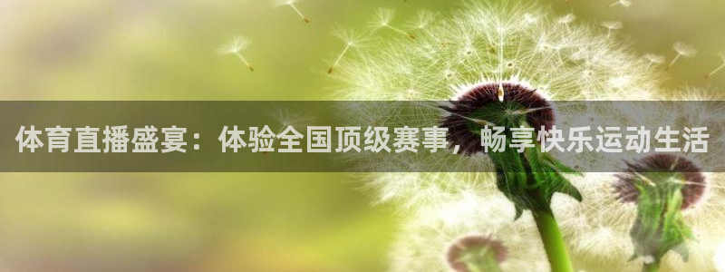 体育直播盛宴：体验全国顶级赛事，畅享快乐运动生活