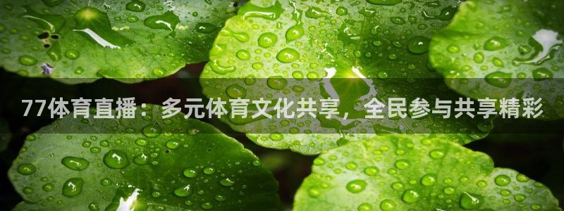 77体育直播：多元体育文化共享，全民参与共享精彩