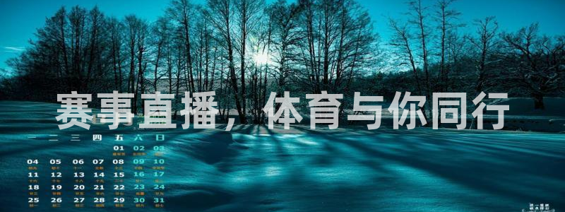赛事直播，体育与你同行
