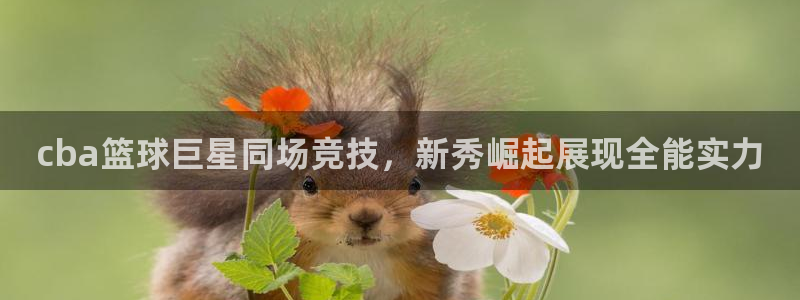 cba篮球巨星同场竞技，新秀崛起展现全能实力