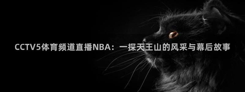 CCTV5体育频道直播NBA：一探天王山的风采与幕后故事