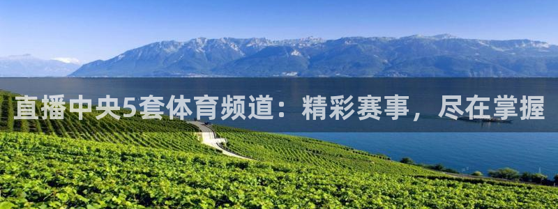 直播中央5套体育频道：精彩赛事，尽在掌握