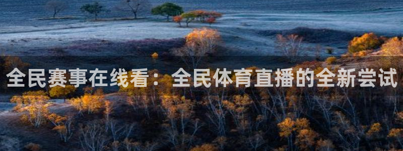 全民赛事在线看：全民体育直播的全新尝试