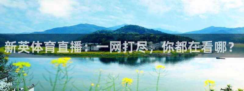 新英体育直播：一网打尽，你都在看哪？