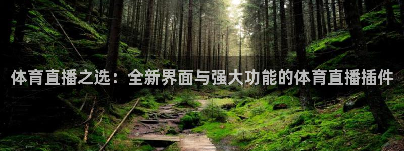 体育直播之选：全新界面与强大功能的体育直播插件
