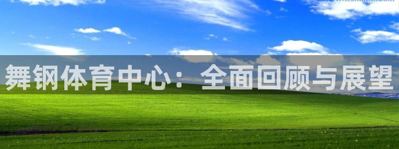 舞钢体育中心：全面回顾与展望