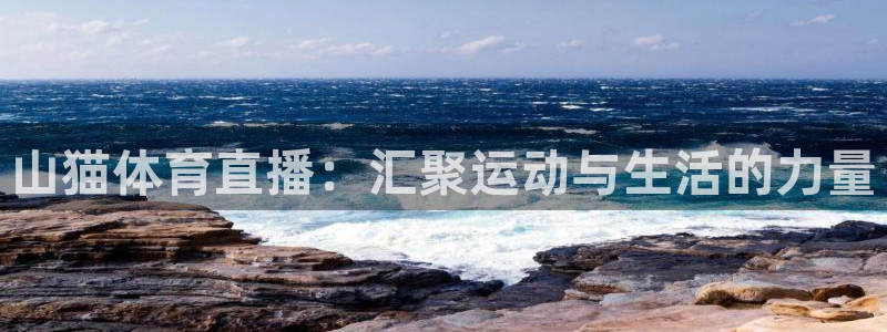 山猫体育直播：汇聚运动与生活的力量