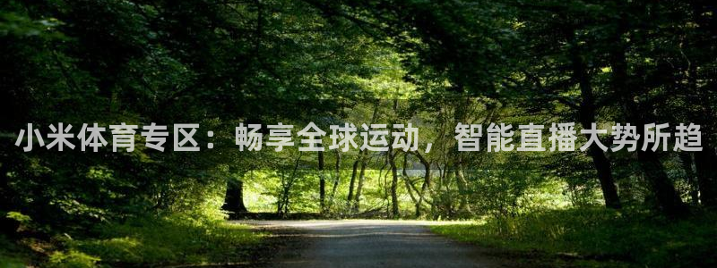 小米体育专区：畅享全球运动，智能直播大势所趋