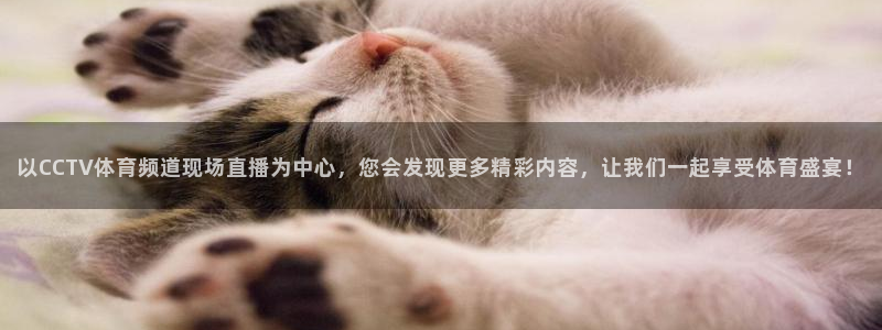 以CCTV体育频道现场直播为中心，您会发现更多精彩内容，让我们一起享受体育盛宴！