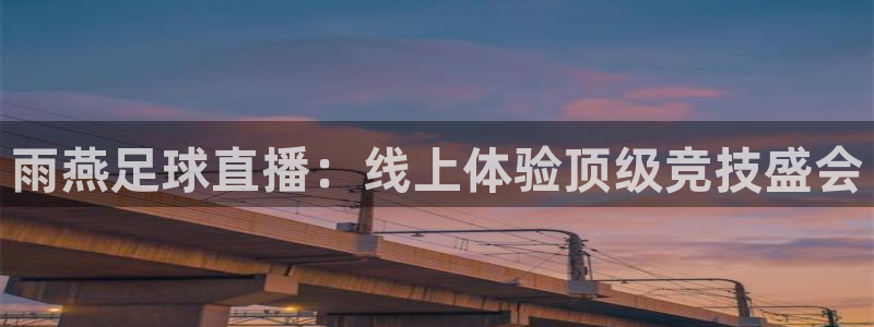 雨燕足球直播：线上体验顶级竞技盛会
