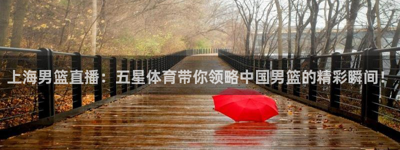 上海男篮直播：五星体育带你领略中国男篮的精彩瞬间！