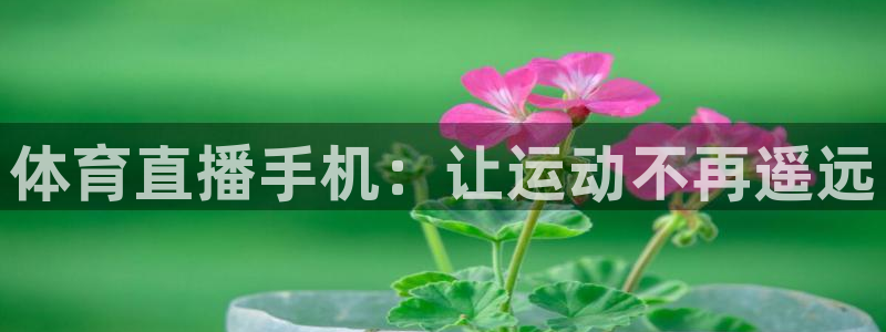体育直播手机：让运动不再遥远