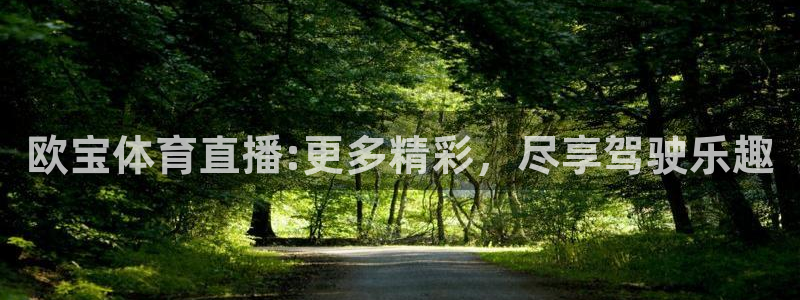 欧宝体育直播:更多精彩，尽享驾驶乐趣