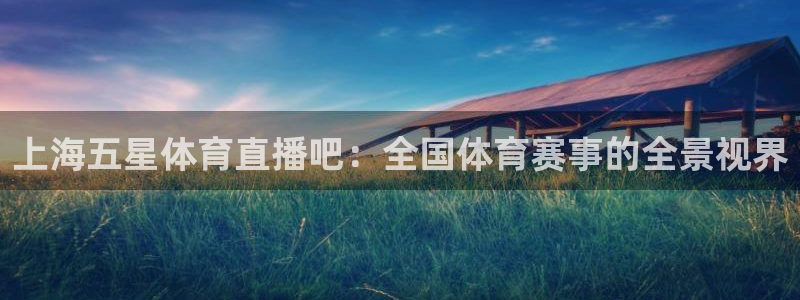 上海五星体育直播吧：全国体育赛事的全景视界