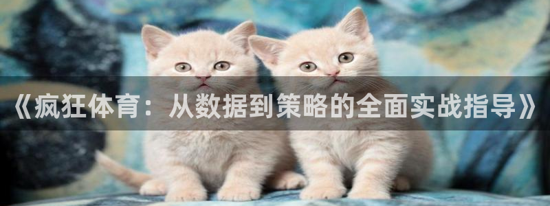 《疯狂体育：从数据到策略的全面实战指导》