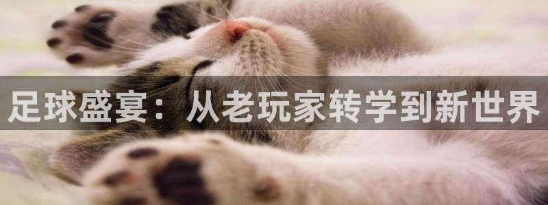 足球盛宴：从老玩家转学到新世界
