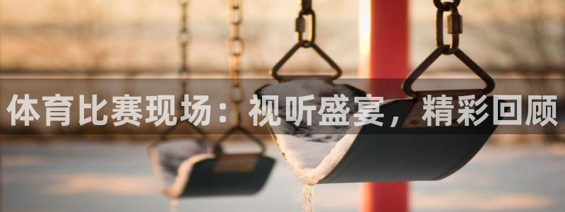 体育比赛现场：视听盛宴，精彩回顾