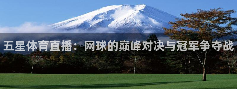 五星体育直播：网球的巅峰对决与冠军争夺战