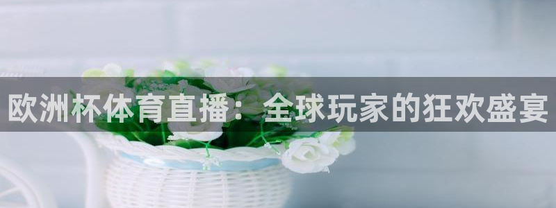 欧洲杯体育直播：全球玩家的狂欢盛宴